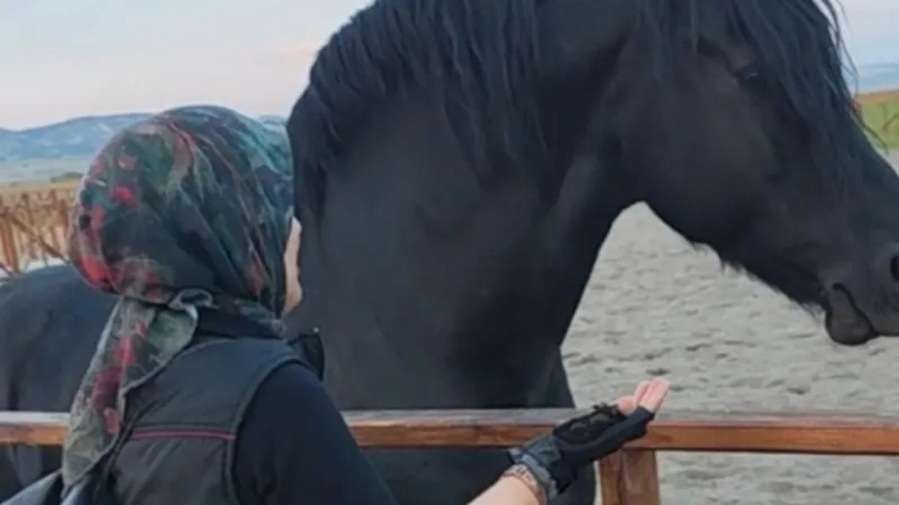 HEM DÖRT TEKERLİ HEM DE DÖRTNALA BİR HAYAT /FemSport'tan /Didem Çam Röportajı