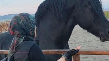 HEM DÖRT TEKERLİ HEM DE DÖRTNALA BİR HAYAT /FemSport'tan /Didem Çam Röportajı